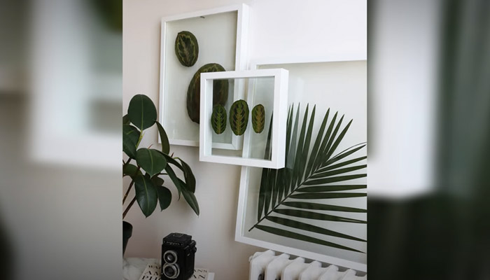 Pressed Leaf Frame Art a natural smell to your home